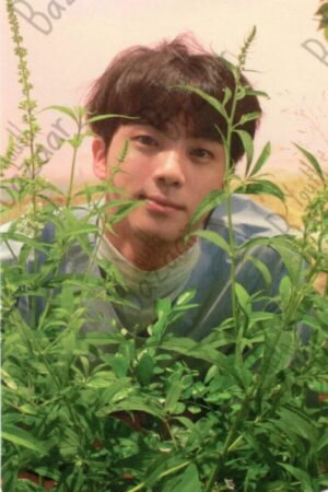 Jin Love Yourself Her Version O