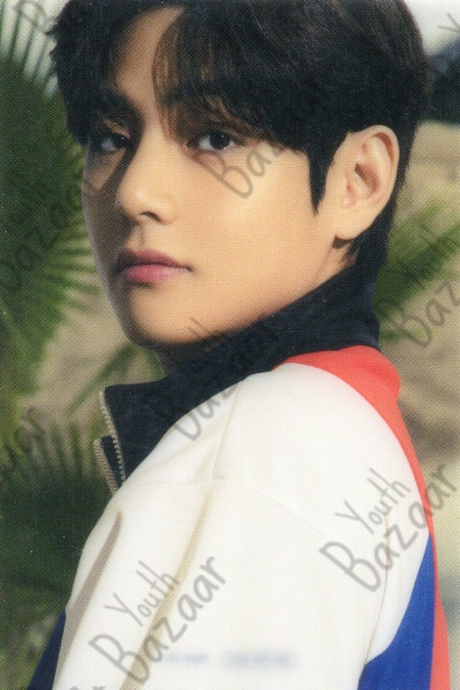 V Bts The Best Japan Fanclub 1