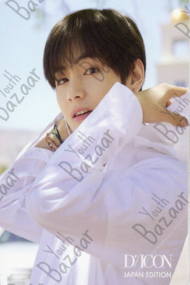 V Dicon Japan Volumen 2 Double