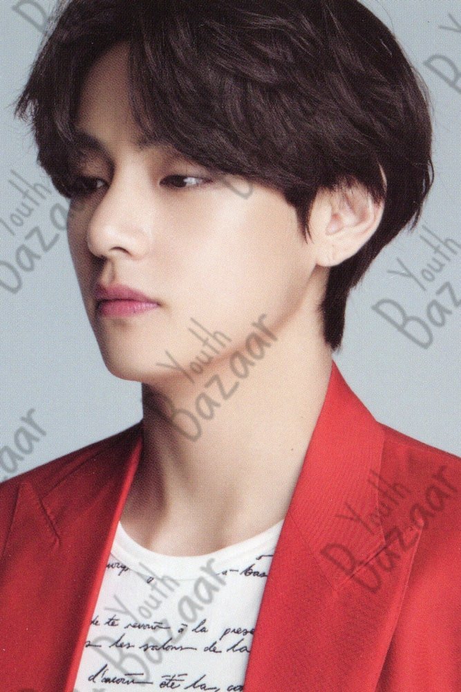 V Dicon Vol 10 Member Cover 5