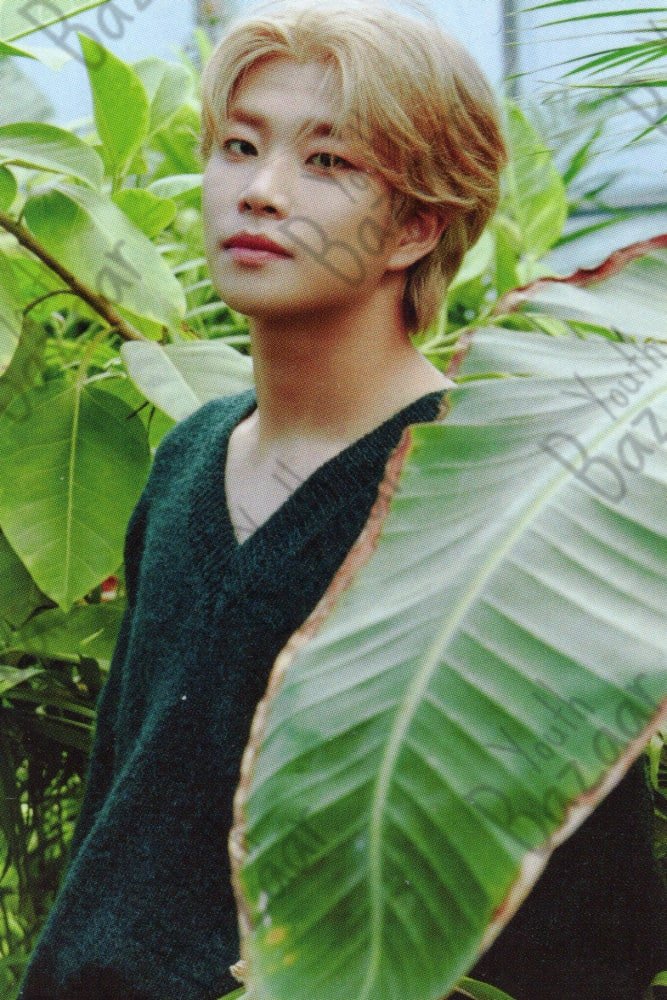 MJ - All Light Green 4