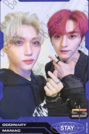 Stray - Kids Oddinary 12