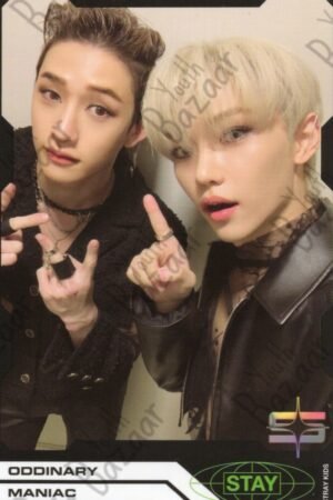 Stray - Kids Oddinary 2