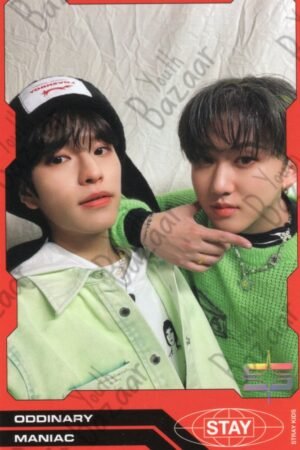 Stray - Kids Oddinary 22