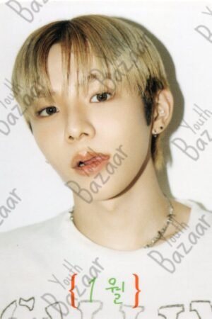 Shotaro - Dicon Volume N°22 Riize Beautifall A Type 1