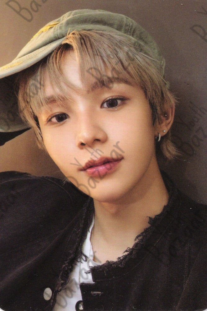 Shotaro - Riizing Collect Book Ver