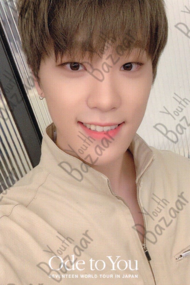 Dino - Seventeen World Tour Ode to You in Japan Trading Card 1 1