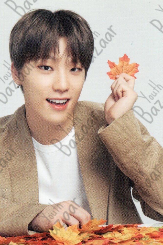 Dino - Seventeen World Tour Ode to You in Japan Trading Card 1