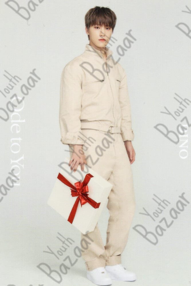 Dino - Seventeen World Tour Ode to You in Japan Trading Card 2