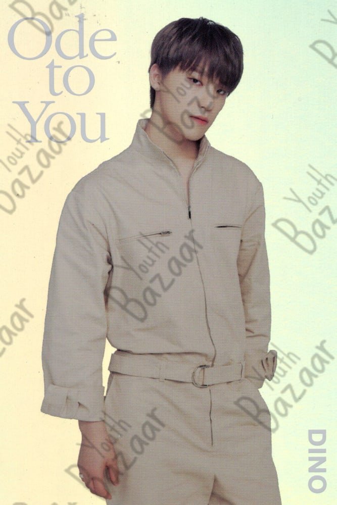 Dino - Seventeen World Tour Ode to You in Japan Trading Card 4