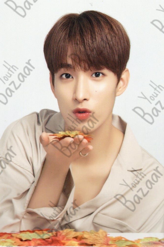 Dk - Seventeen World Tour Ode to You in Japan Trading Card 1 1