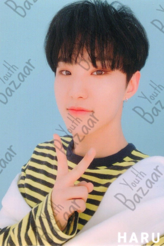 Hoshi - Seventeen 2019 Japan Tour 'haru' Trading Card 4