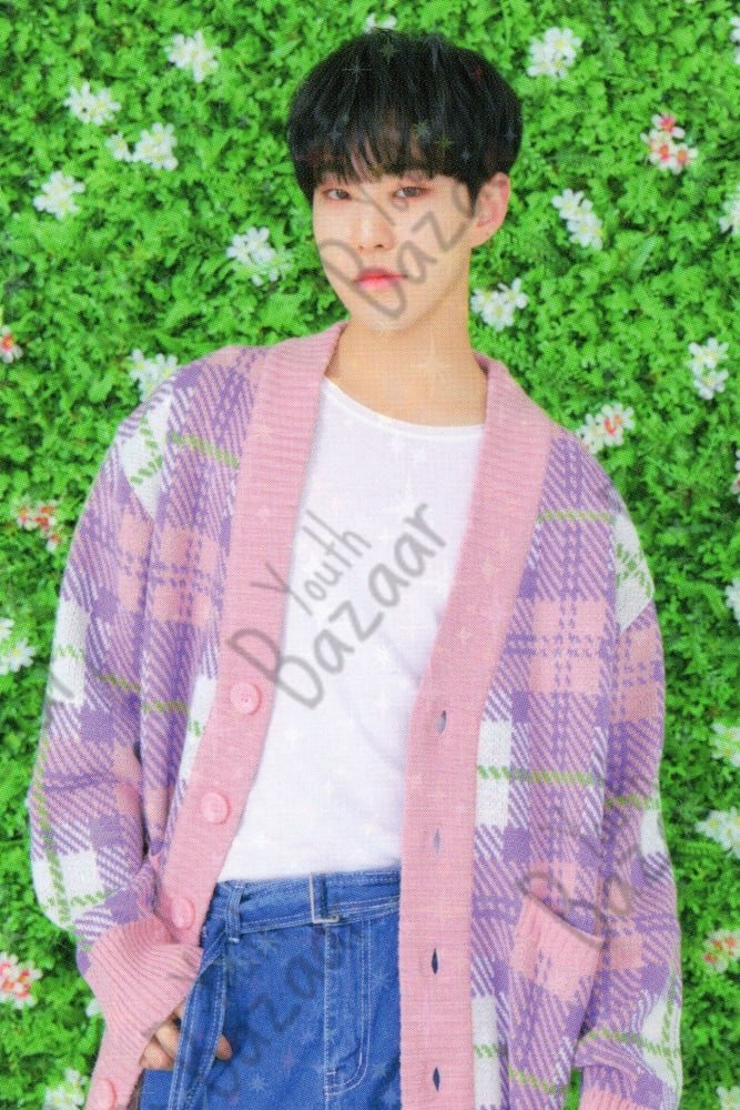 Hoshi - Seventeen 2019 Japan Tour 'haru' Trading Card 5