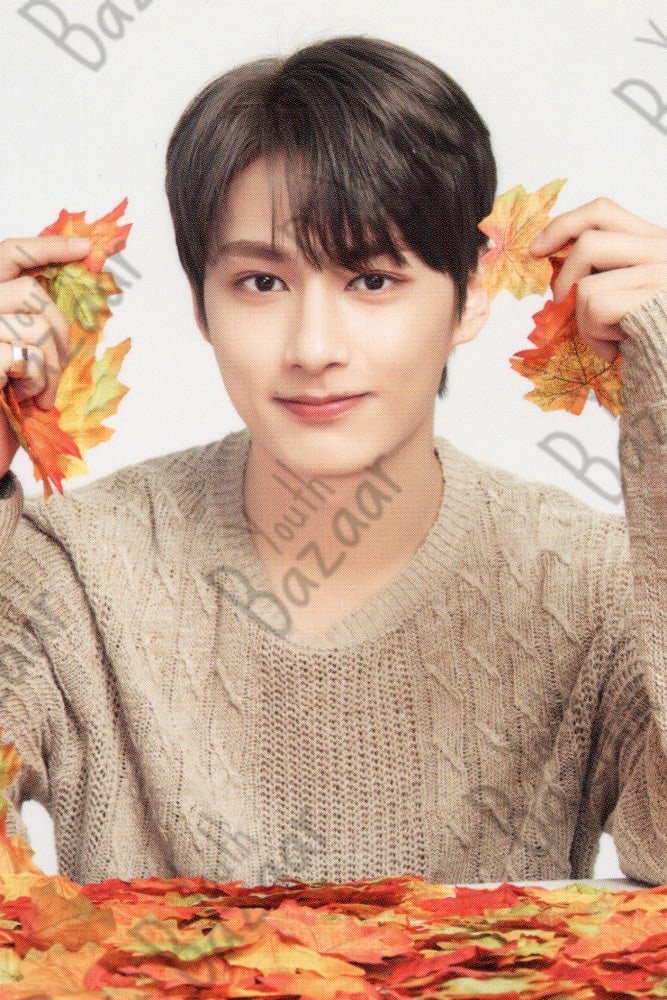 Jun - Seventeen World Tour Ode to You in Japan Trading Card 1 1