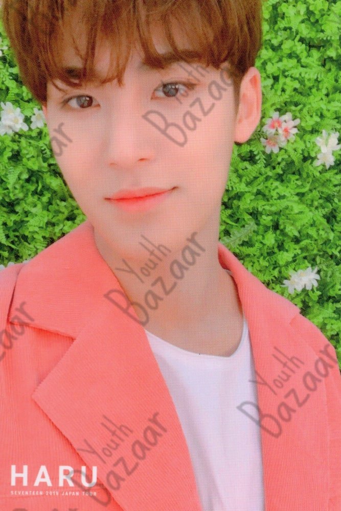 Mingyu - Seventeen 2019 Japan Tour 'haru' Trading Card