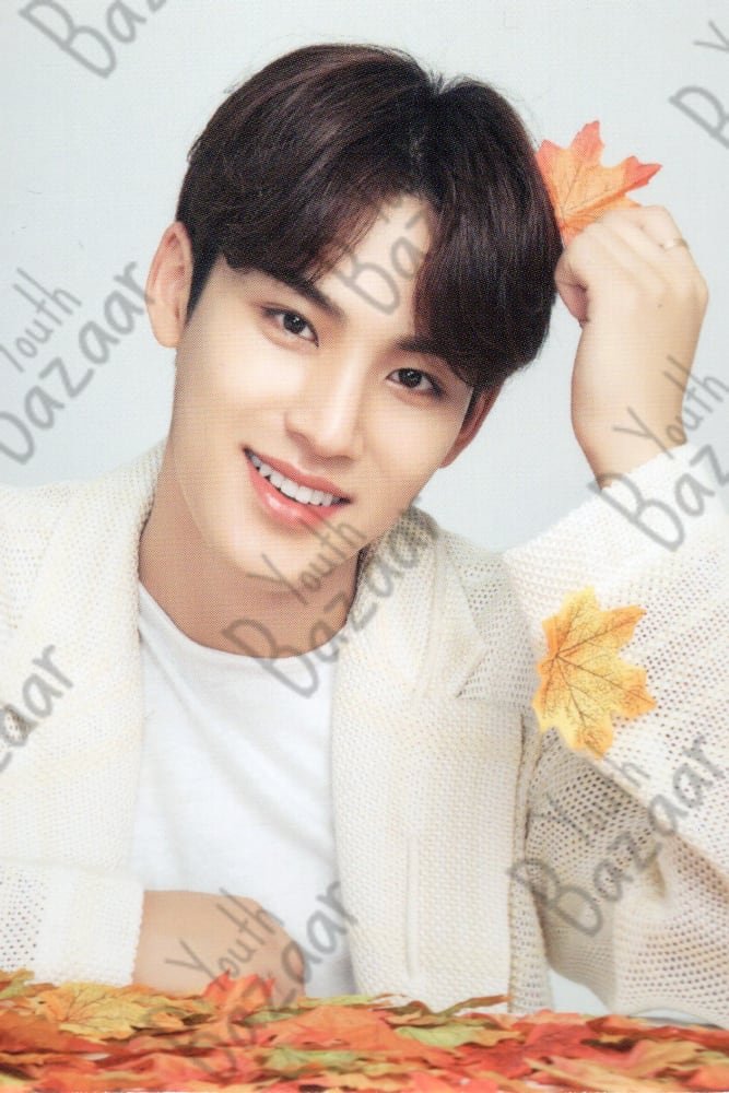 Mingyu - Seventeen World Tour Ode to You in Japan Trading Card 6