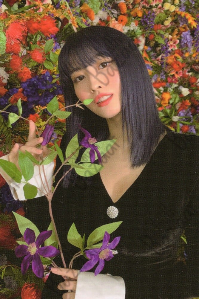 Momo - Eyes Wide Open 2