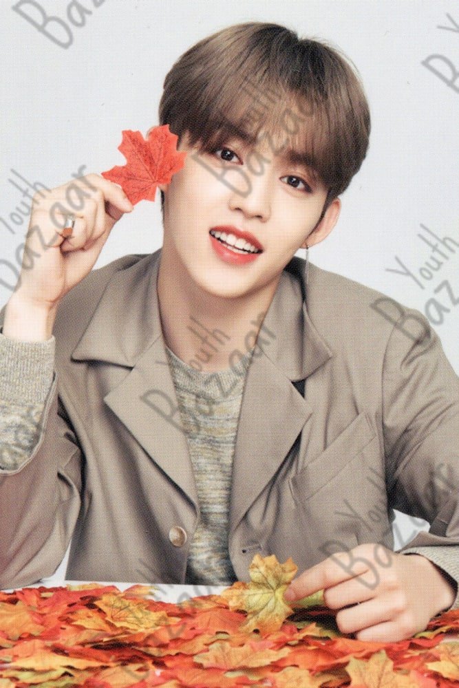 S.coups - Seventeen World Tour Ode to You in Japan Trading Card 4