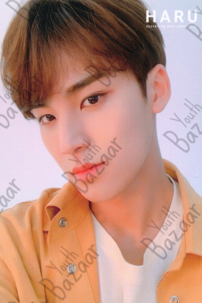 Vernon - Seventeen 2019 Japan Tour 'haru' Trading Card 2