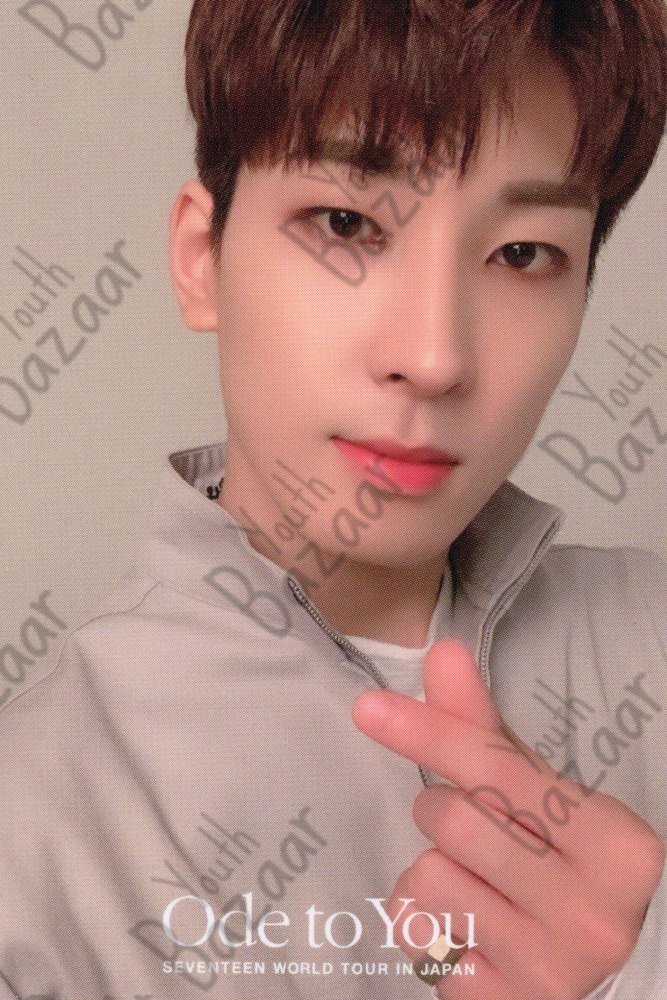 Wonwoo - Seventeen World Tour Ode to You in Japan Trading Card 1
