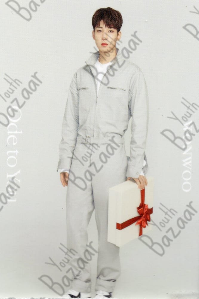 Wonwoo - Seventeen World Tour Ode to You in Japan Trading Card 4