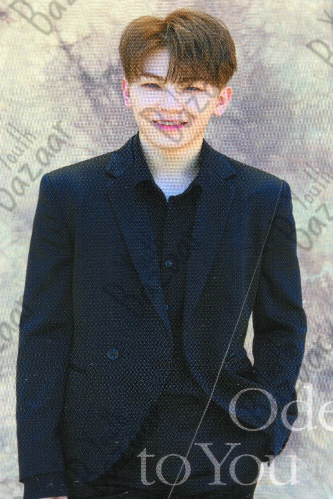 Woozi - Seventeen World Tour Ode to You Trading Card Set 3