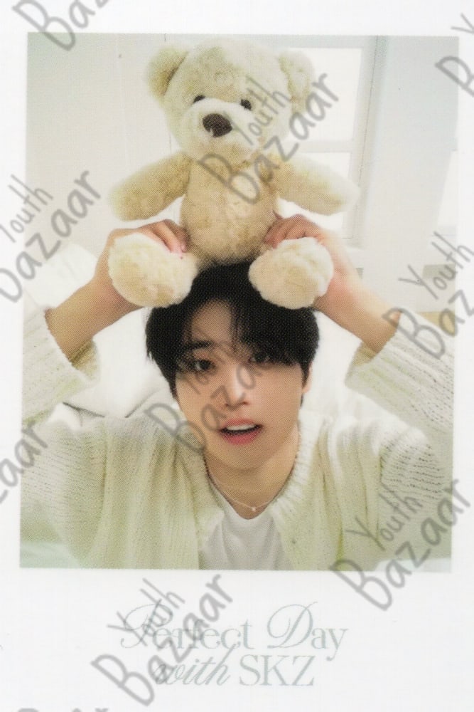 Han - Stray Kids 2024 Season's Greetings Perfect Day With Skz