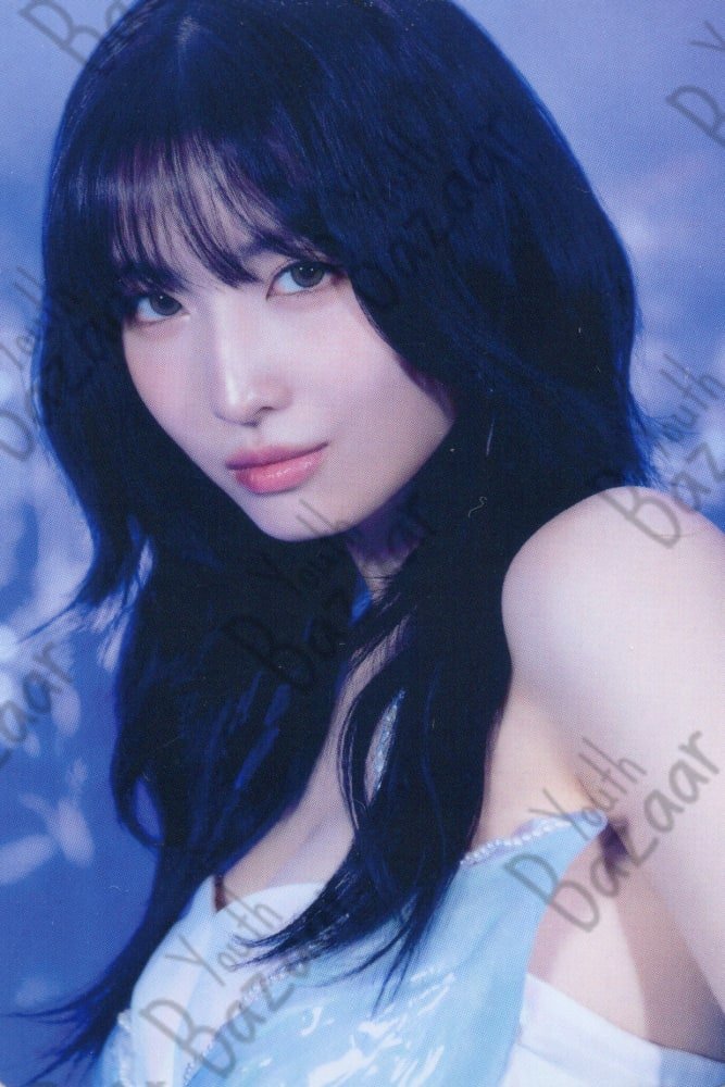 Momo - Dive Limited Edition